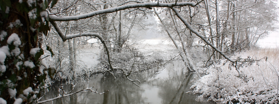 River parrett winter